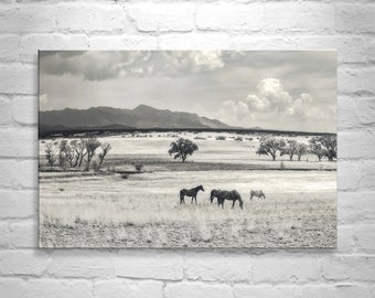 Country Style Artwork with Horse Ranch Landscape at Mexico Border