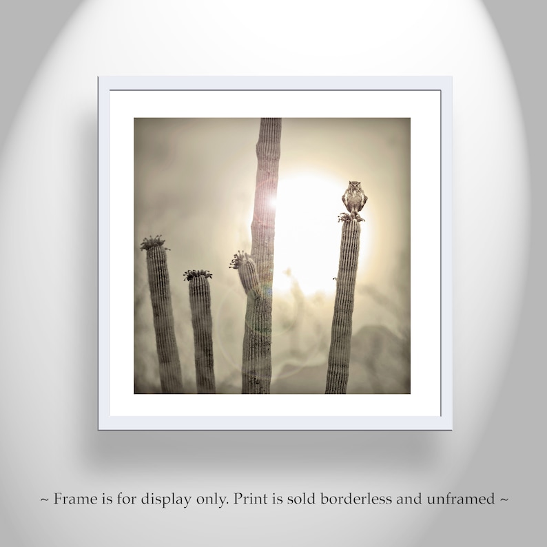 Horned Owl Art Print | Sonoran Desert Sunset Landscape, Square Orientation image 3
