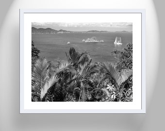 Black and White Costa Rica Art Tropical Themed Print for Home