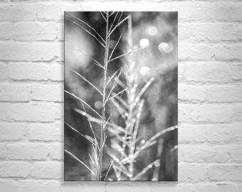 Black and White Minimalist Nature Wall Print with Winter Frost as Home Decor