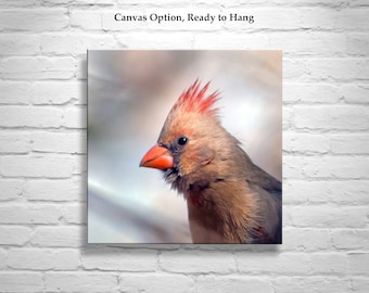 Red Cardinal Bird Picture as Nature Photography Art Print by Murray Bolesta