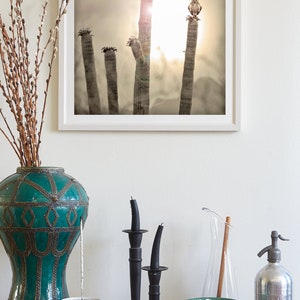 Fine Art Photography Print by Murray Bolesta Home Wall Decor