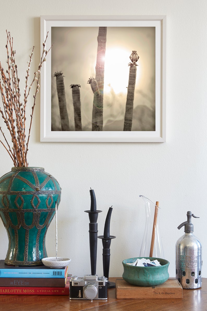 Fine Art Photography Print by Murray Bolesta Home Wall Decor