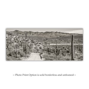 Desert Panoramic Art with Saguaro Cactus in Tucson Arizona Warm Sepia Tone