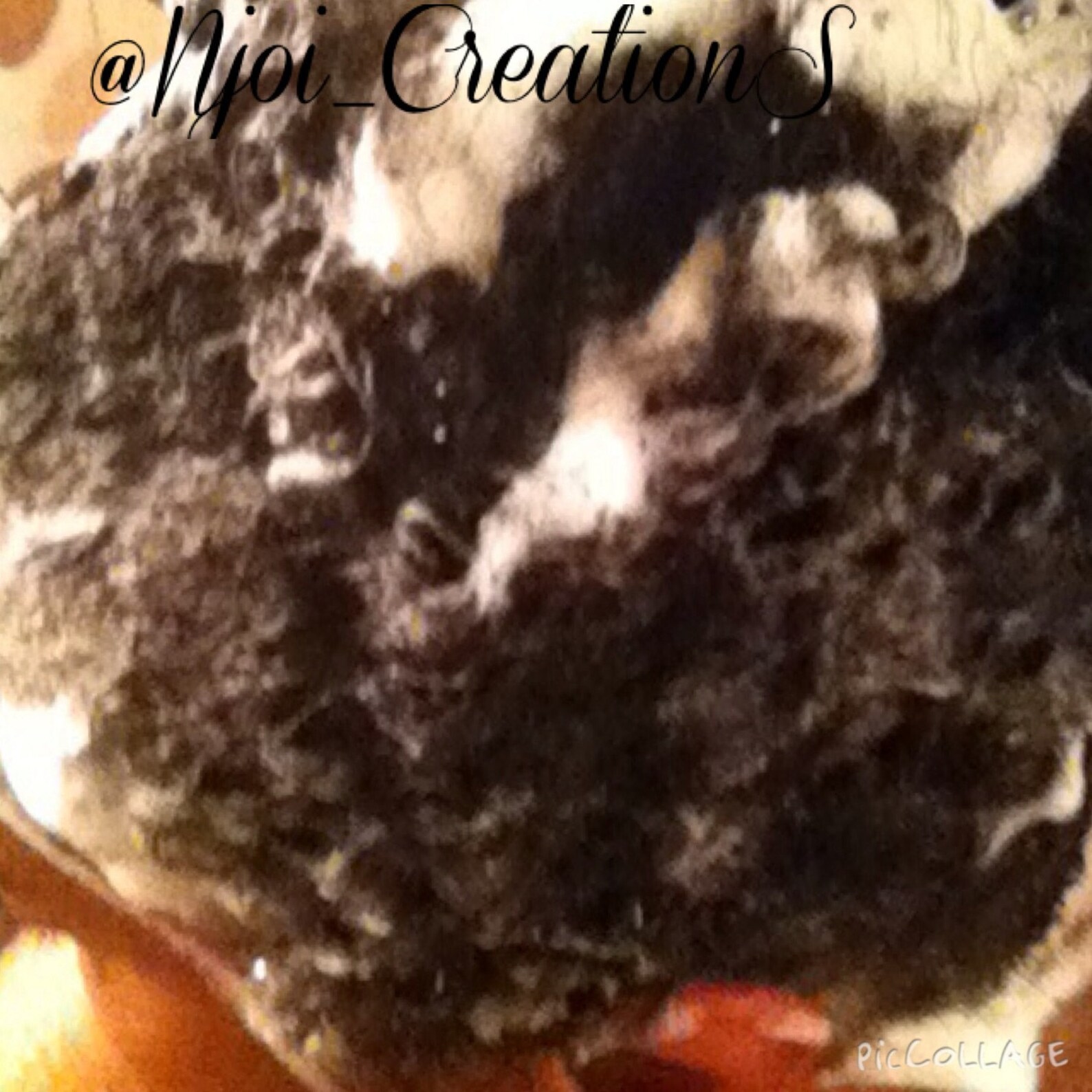 Apple Cider Vinegar Shampoo Barmy Top Seller Etsy