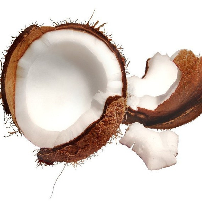 Sweet Coconut Hair Pomade An All Natural Hair Grease Etsy