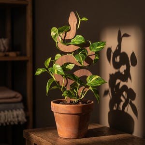 Pode incluir: Uma planta em vaso com folhas verdes e amarelas, sustentada por uma treliça de madeira em forma de cobra. O vaso de terracota está sobre uma superfície de madeira. A treliça é de madeira castanha.