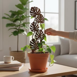 May include: A brown metal plant trellis in the shape of Monstera leaves supports a green leafy plant in a terracotta pot. The pot sits on a matching saucer on a wooden table. A hand gently guides the plant.