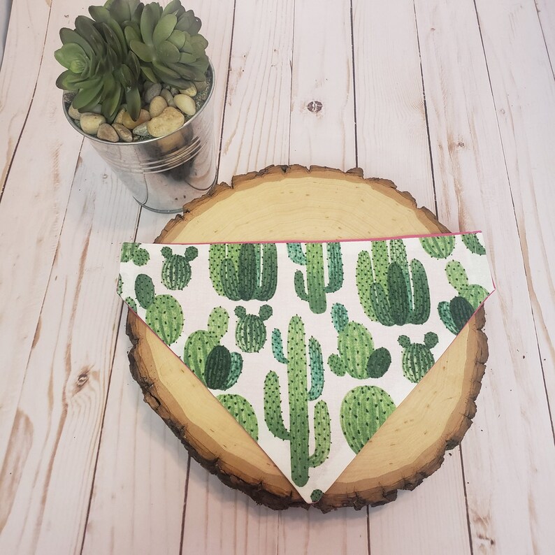Cactus Reversible Bandana