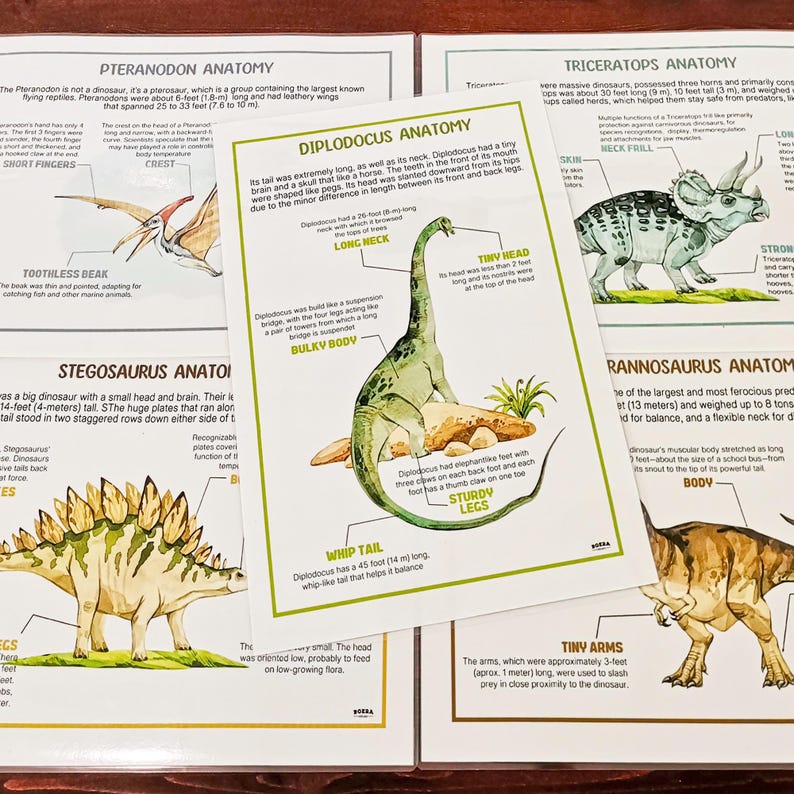 Dinosaurs Anatomy Labeling Activity Homeschool Dinosaur Facts Dinosaurs Anatomy Labeling Activity Homeschool Dinosaur Facts