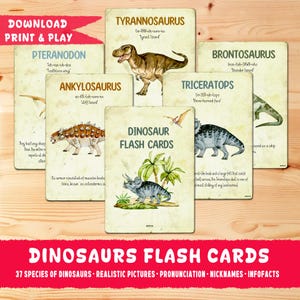Wydrukowane karty z dinozaurami, nauka dla dzieci, realistyczne karty z dinozaurami, zasoby prehistoryczne dla przedszkolaków, zajęcia w domu, czas ciszy dla maluchów