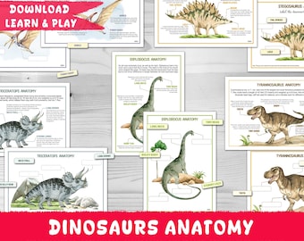 Dinosaurier Anatomie, Kennzeichnungsaktivität, Hausschule, Dinosaurier-Fakten, Lernressourcen, DIGITALER DOWNLOAD