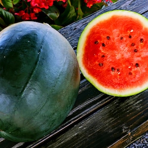 Watermelon Seeds, Sugar Baby, Organic, Non GMO, 30+
