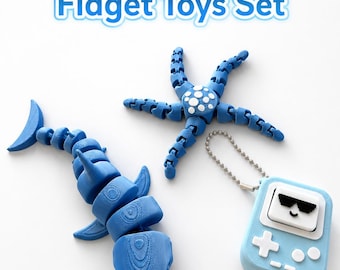 Blue Fidget Toy Set – 3D Printed Sensory Toys & Keychain