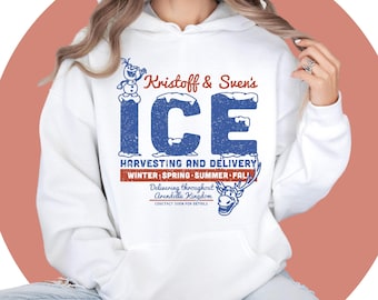 Disney Frozen Hoodie, Elsa Anna Olaf Sweatshirt, Girls Hooded Clothes, Disney Character Apparel for Kids