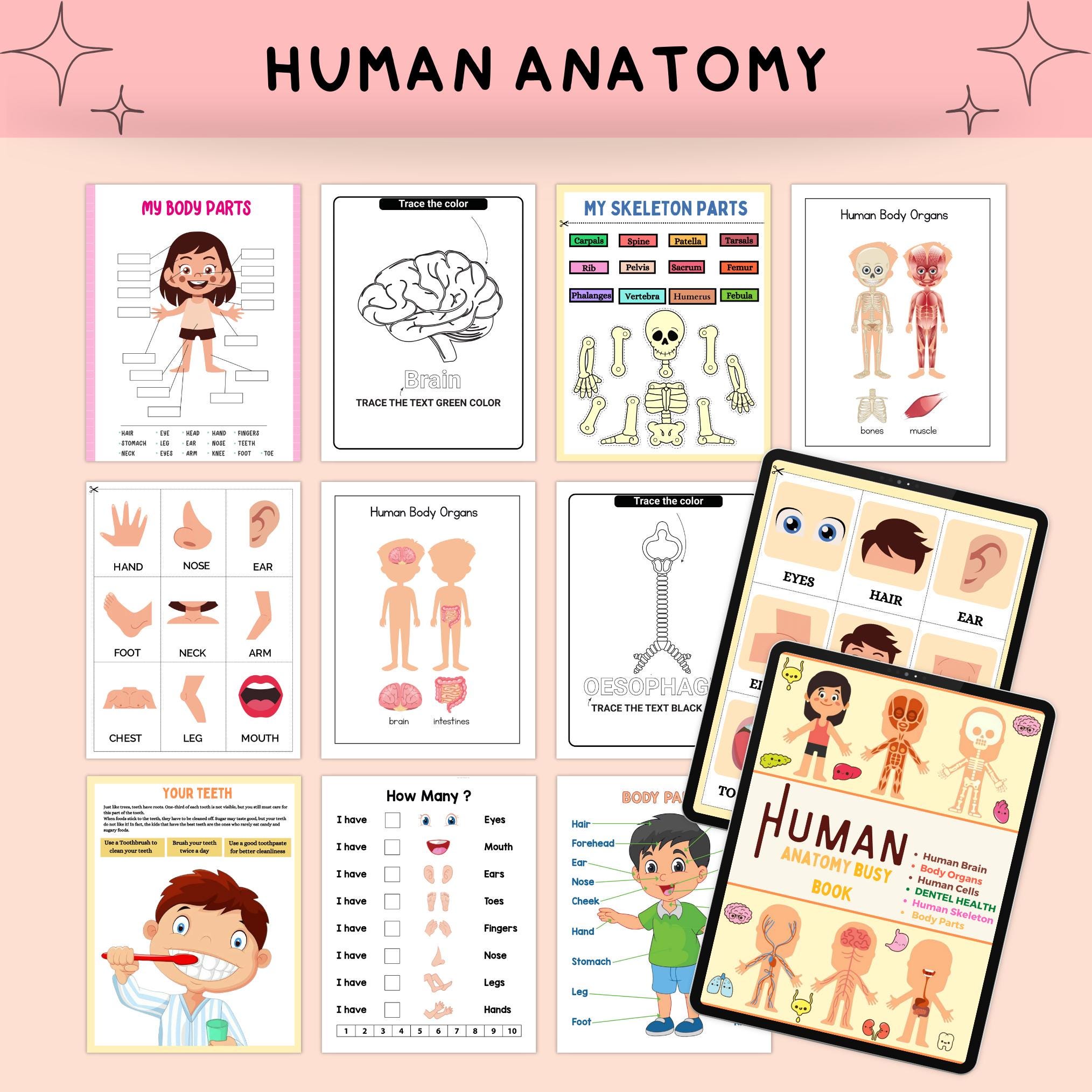15000 Educational Kids Resources Bundle | Children's Learning Bundle ...