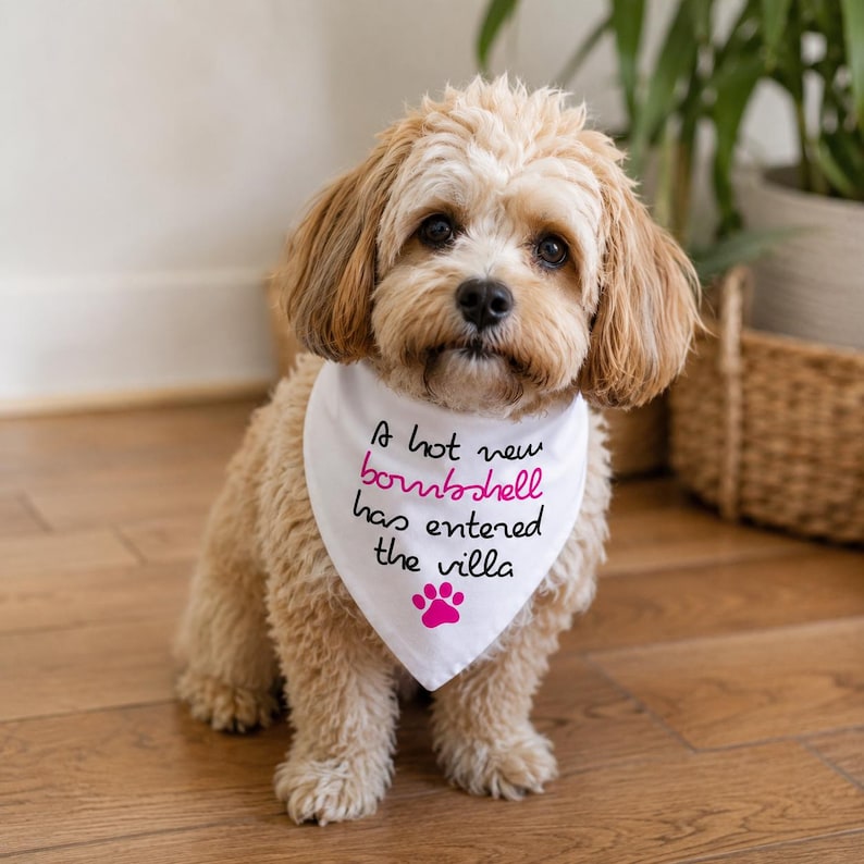 May include: A white triangular pet bandana featuring the black text A hot new bombshell has entered the villa with the word bombshell in pink and a pink paw print icon below the text. The bandana is worn around the neck of a light brown dog.