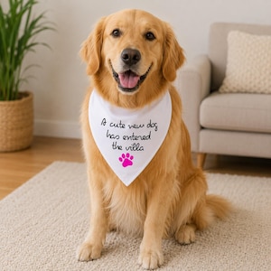 May include: A golden retriever dog wearing a white triangular pet bandana. The bandana features the black printed text A cute new dog has entered the villa and a small bright pink paw print graphic centered below the text on the fabric.