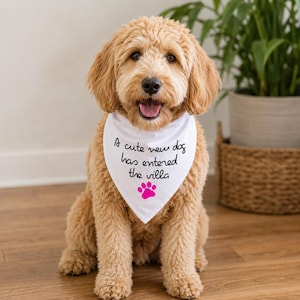 May include: A golden-colored dog with curly fur wearing a white triangular bandana. The bandana features the black text A cute new dog has entered the villa and a bright pink paw print graphic centered below the written message.
