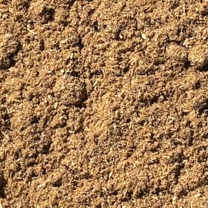 Sustainably Sourced Osha Root Powder: Wildcrafted Herbal Remedy