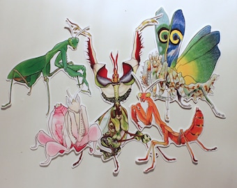 Mantis Magic Sticker Set - Set of 5