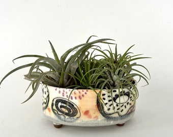 Oval Donut Planter - for succulents, Bonsai, air plants