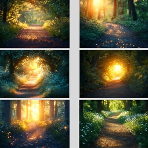 35 Forest Path Digital Backdrop, Forest Backdrop, Forest Path Backdrop ...