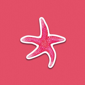 Autocollant individuel  7cm - Étoile de mer rose  - décoration cahier - tablette - Décoration ordinateur