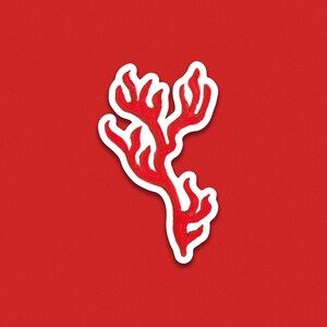 Autocollant individuel  7cm - "Corail rouge "  - décoration pour ordinateur - Autocollant pour téléphone