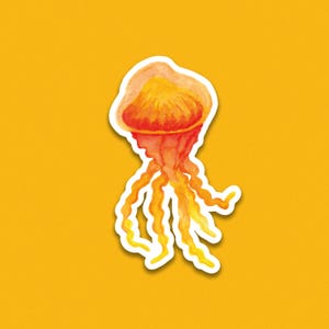 Autocollant individuel  7cm - "méduse orange "  - décoration pour ordinateur - Autocollant pour téléphone