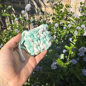 AirPod Case | Crochet Chunky AirPods Case | Carabiner Clasp | Tshirt Yarn | AirPods | Headphone Case | Safe & Protection |  Gift for her