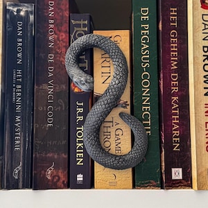 Könnte beinhalten: Ein grauer, schlangenförmiger Lesezeichen liegt zwischen einer Reihe von Büchern. Das Lesezeichen ist mit Schuppen und einem Schlangenkopf versehen. Die Bücher tragen Titel wie "A Game of Thrones" und "The Da Vinci Code."