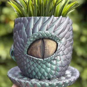 Può includere: Un vaso per piante a tema drago con un occhio dettagliato e un design a scaglie. Il vaso è un mix di verde, blu e grigio, con una finitura strutturata. La fioriera contiene erba verde, creando un elemento decorativo di ispirazione fantasy.