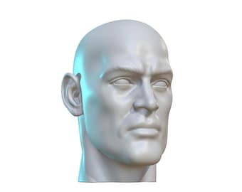 Generic Man Custom Action Figure Head 1/9 or 1/6 Mego
