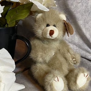 NWT TY Fern 1993 Beanies Attic Treasures Green Plush Jointed Bear 8