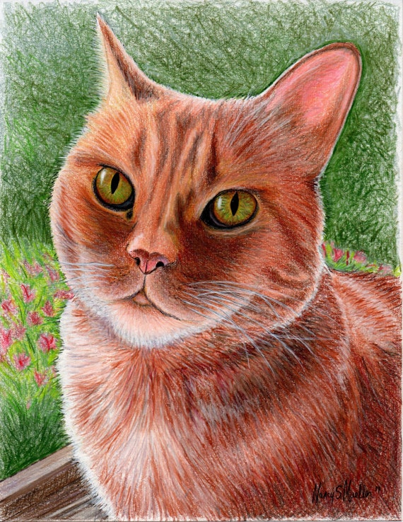 Custom Colored Pencil & Alcohol Marker Pet Portraits- Original drawing of dogs, cats, any animals. Pet memorial. Artwork includes matting.