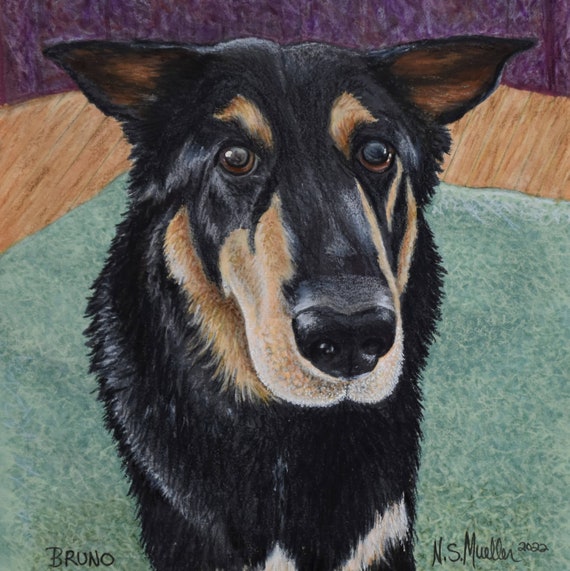 Custom Colored Pencil & Alcohol Marker Individual Pet Portraits/Original drawing of SINGLE dog, cat, any animal. Pet memorial. Artwork  ONLY