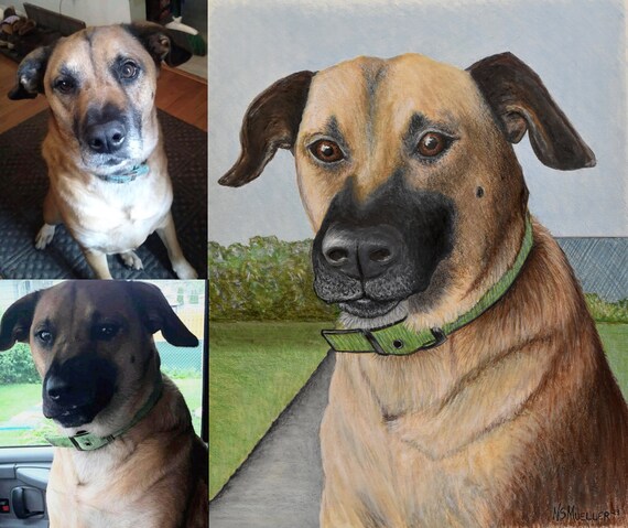 Custom Colored Pencil & Alcohol Marker Portraits- Pet loss, memorial, original drawing of dog, cat, other pets, matted and ready to frame