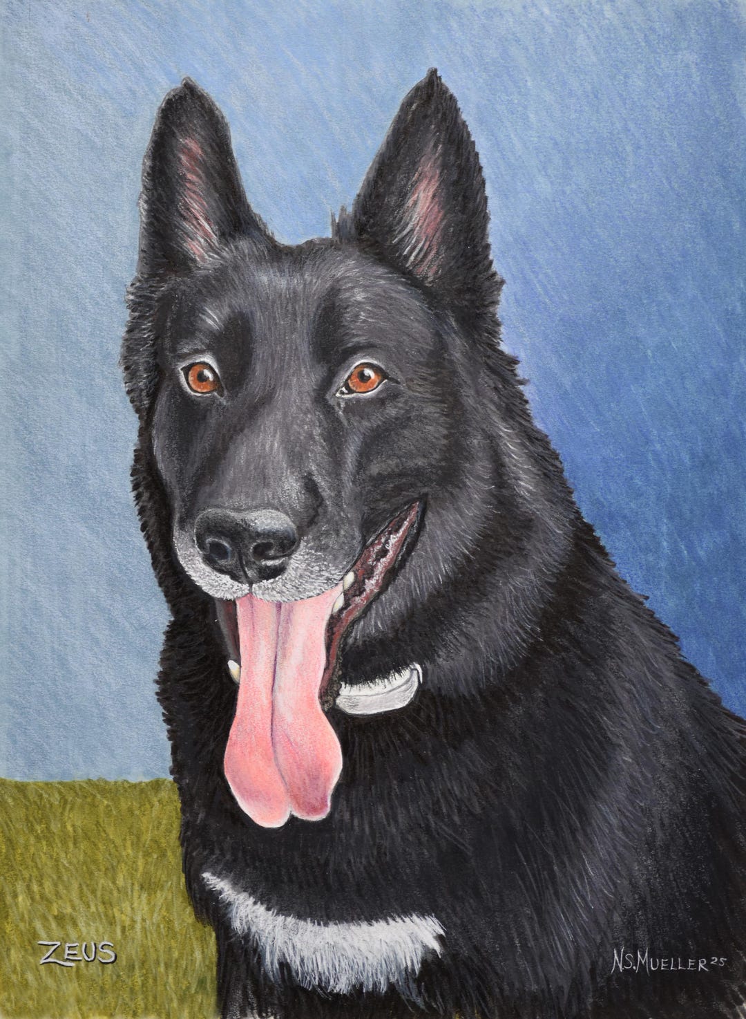 Custom Pet Portrait – Hand-drawn Colored Pencil & Ink Memorial - Etsy