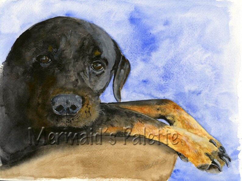 Pet Portrait PaintingDog watercolor Rottweiler dog puppy