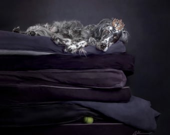 Princesse et le Pois - FINE ART PRINT