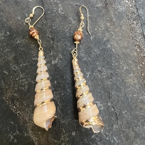 Natural Spiral Sea Shell with Faceted Gold Pearl Dangle Earrings  Gold Plated turritella spiral tereba augur seashells  Natural Sea Shells