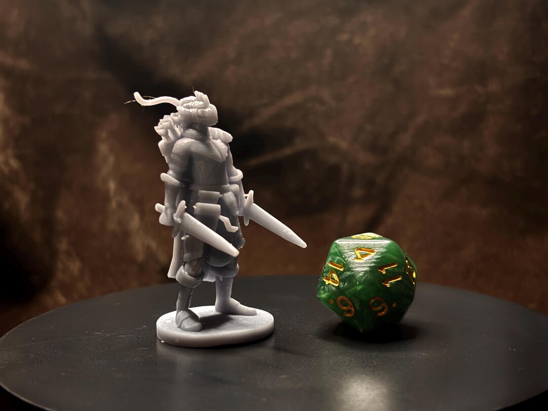 Dragonborn Ranger /w Two Swords - D&amp;D 5e Miniatures - 3D Printed Minis ...