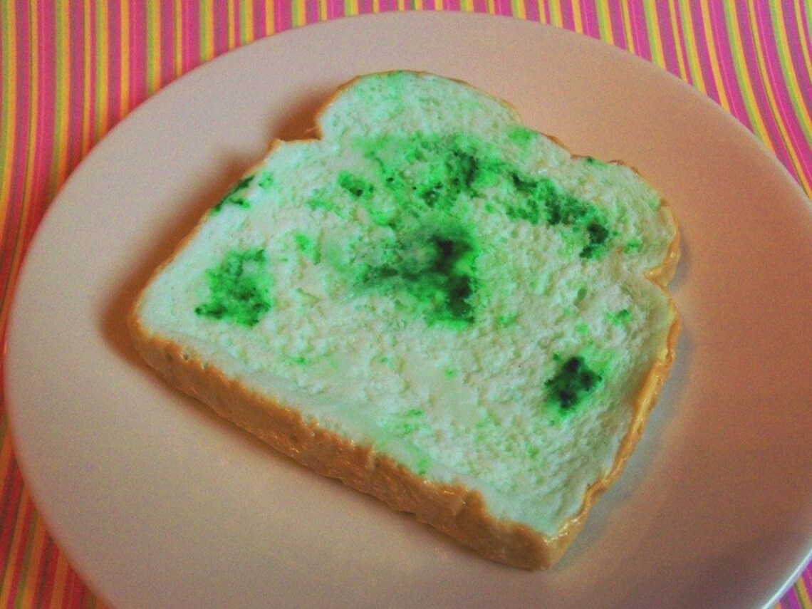 MOLDY Bread Handmade Soap Bar Great for a Gag Gift Etsy