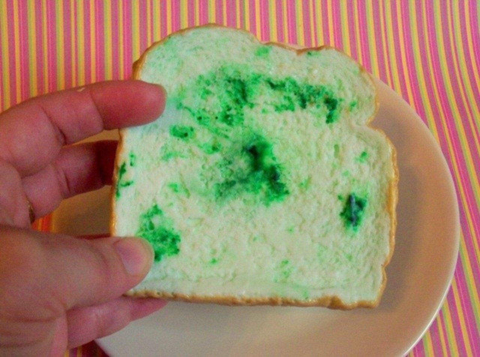 MOLDY Bread Handmade Soap Bar Great for a Gag Gift Etsy