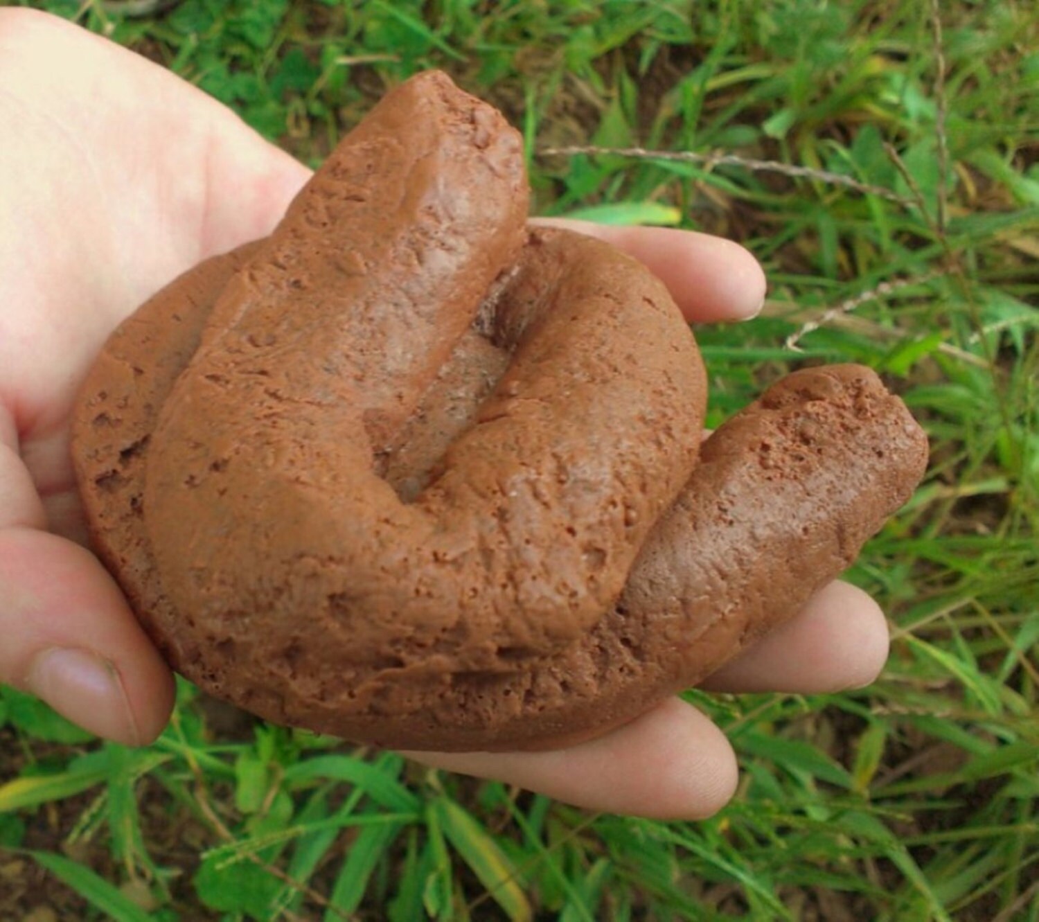 Dog Poop Soap - Gifts For Him - Valentines Gift - crappy Valentine…