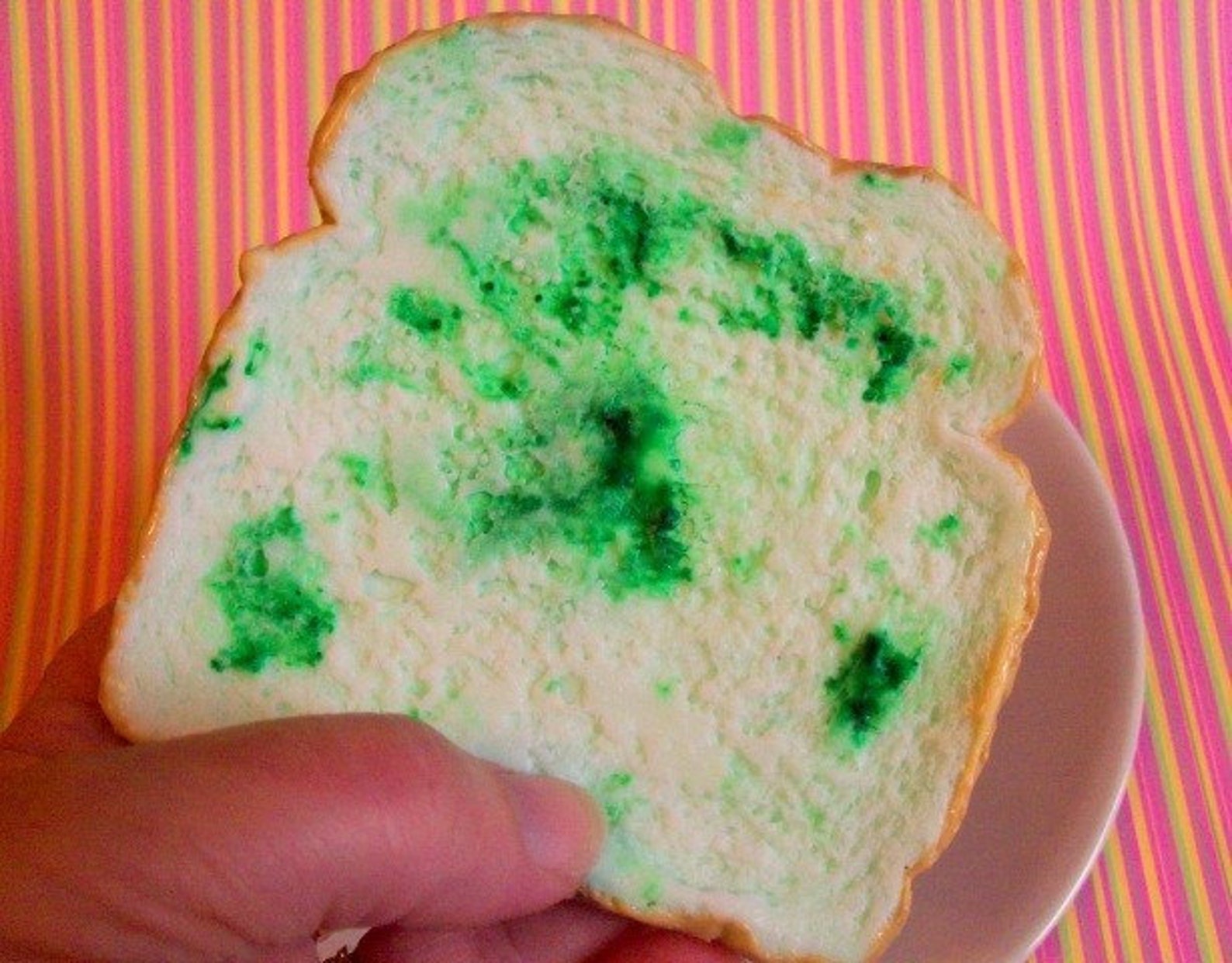 MOLDY Bread Handmade Soap Bar Great for a Gag Gift Etsy