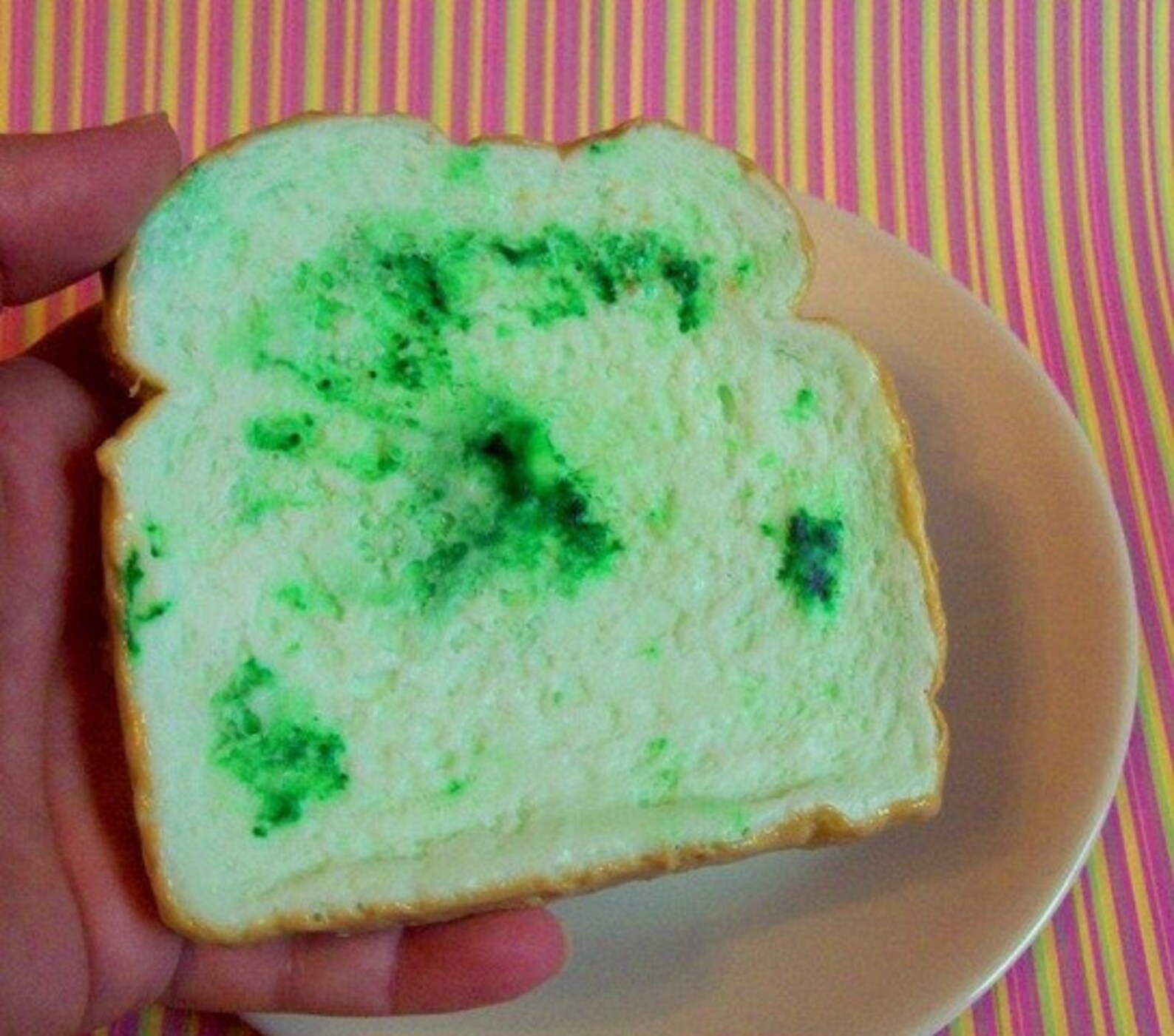 MOLDY Bread Handmade Soap Bar Great for a Gag Gift Etsy