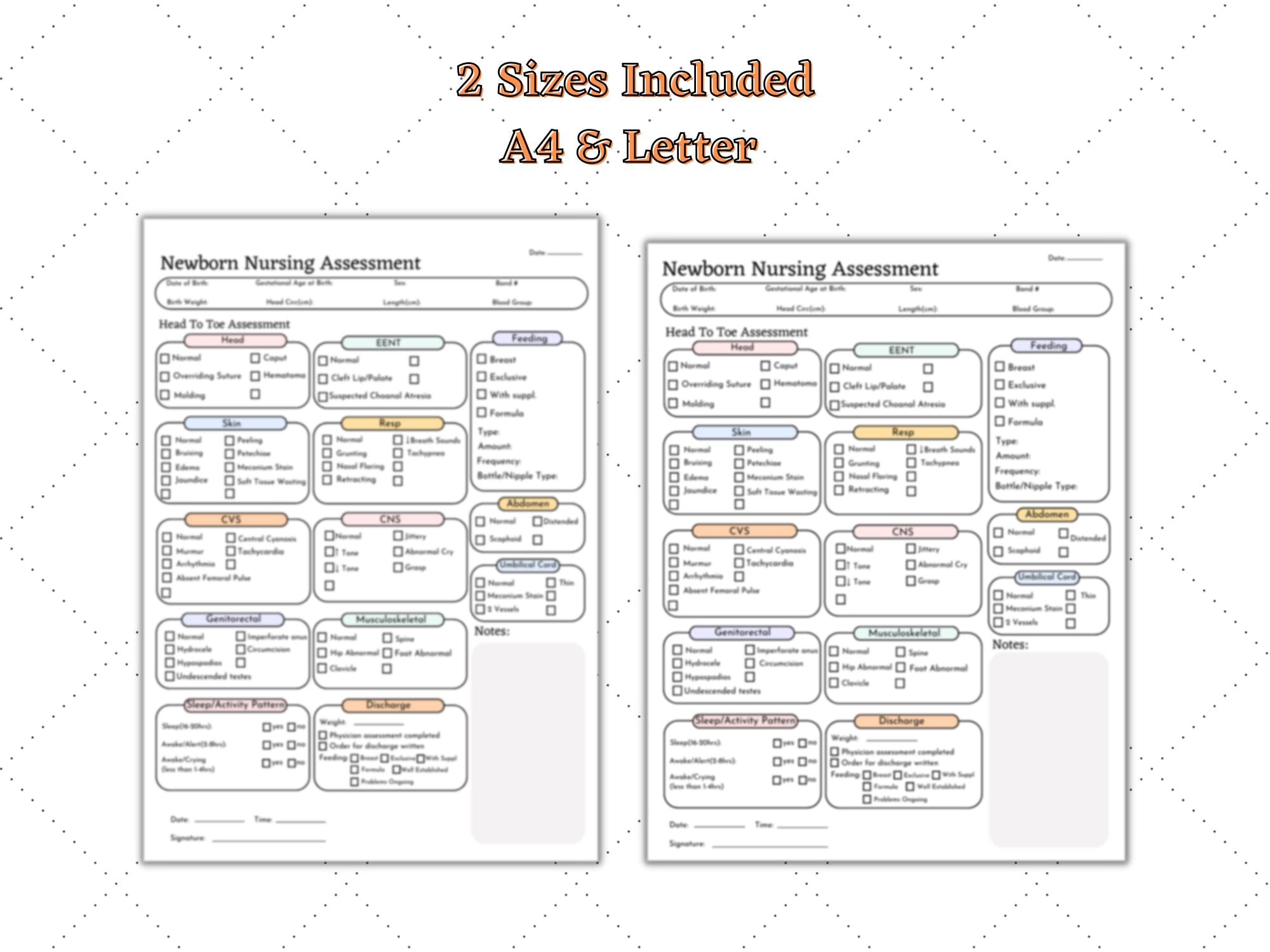 Newborn Head to Toe Assessment Nursing Template, Newborn Report Sheet ...