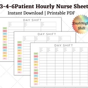 Nurse Report Sheet: Hourly Patient Tracker, Day & Night Shift (Printable PDF)